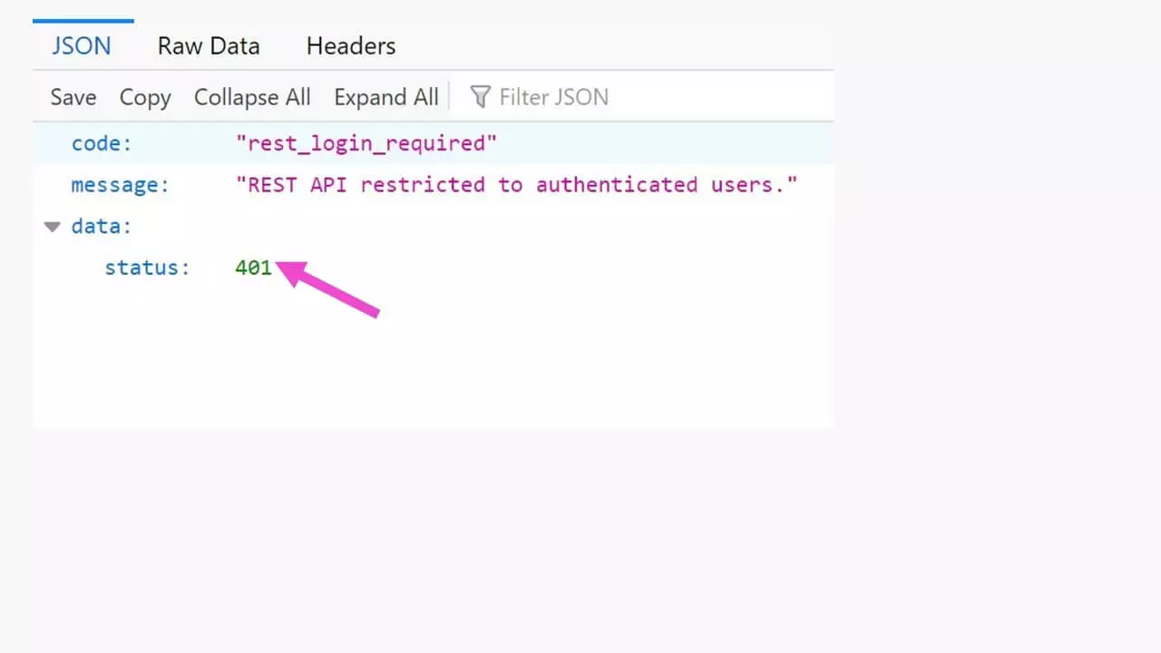 Image: API REST de WordPress : accès interdit grâce au plugin 