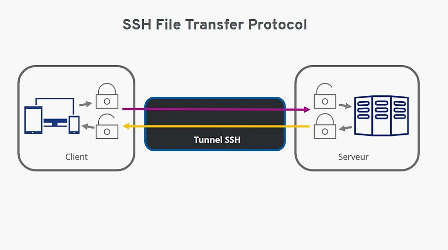 Image: Schematic representation of SFTP data transfer