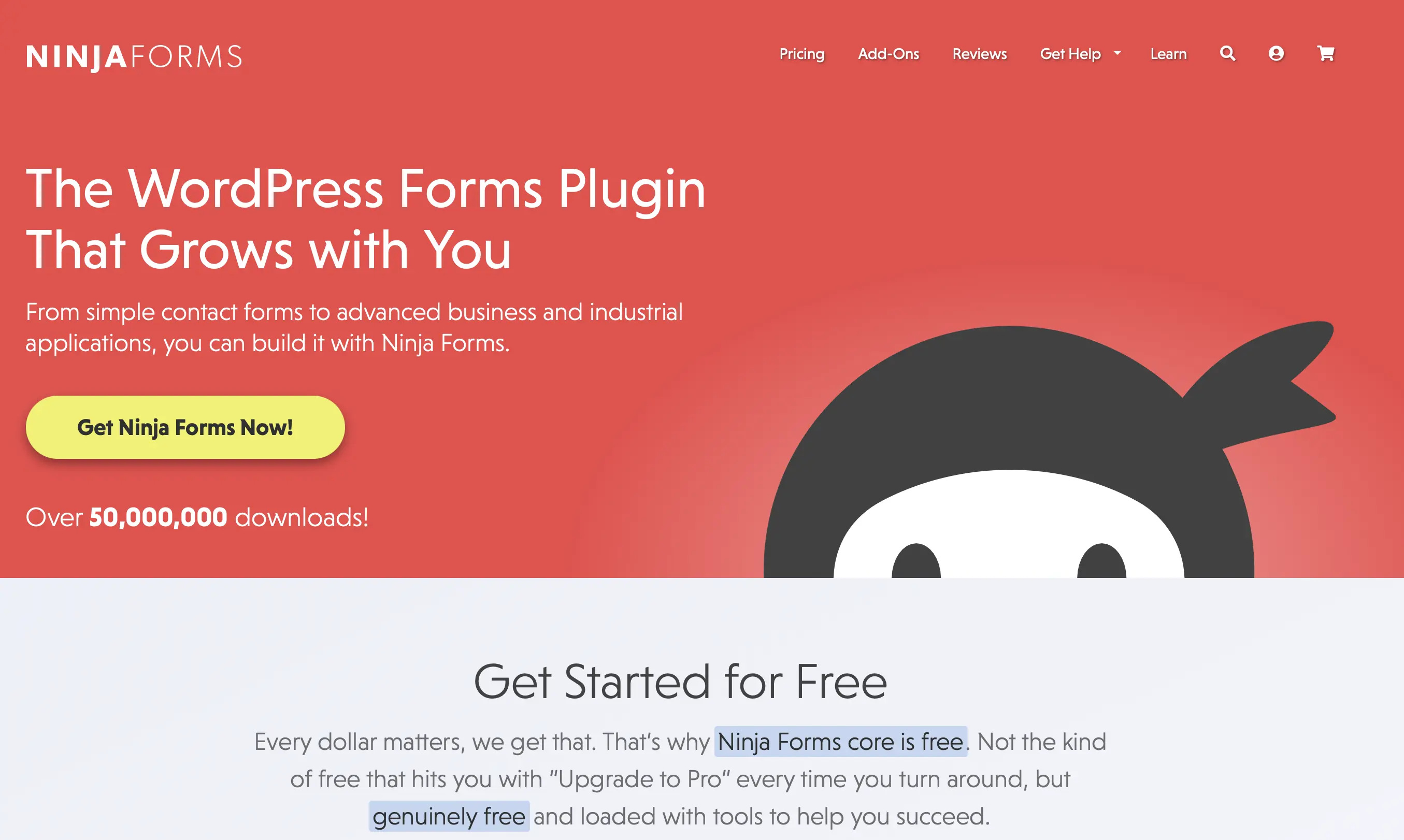 Image: Page d’accueil du plugin Wordpress Ninja Forms
