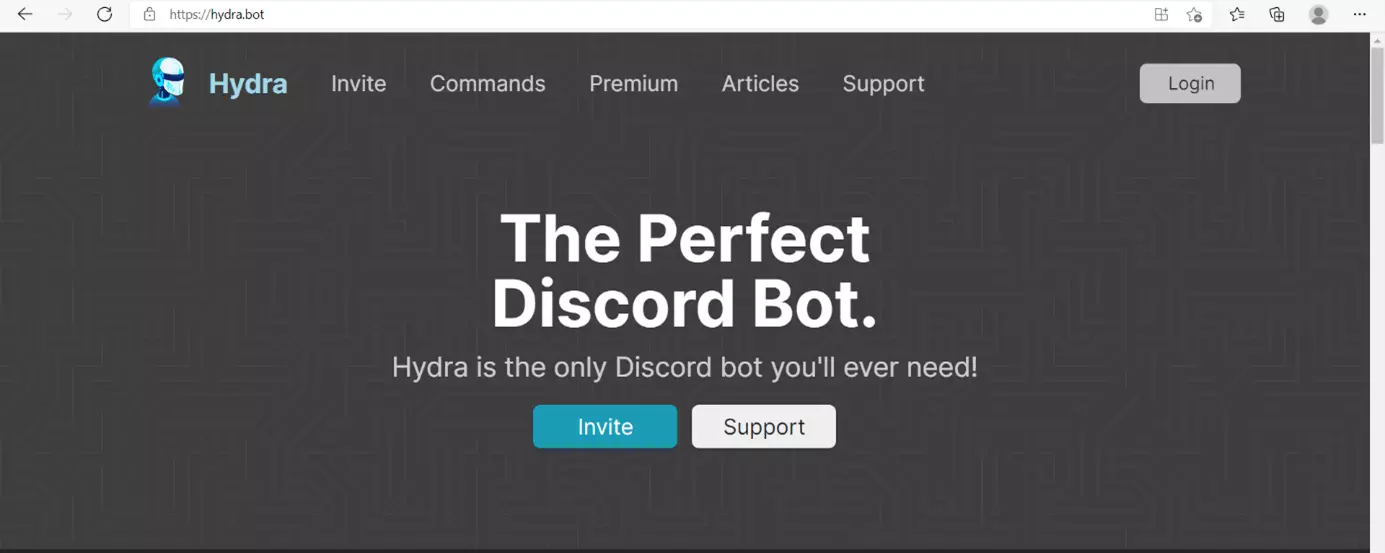Image: Affichez le site Web du bot musical que vous voulez ajouter