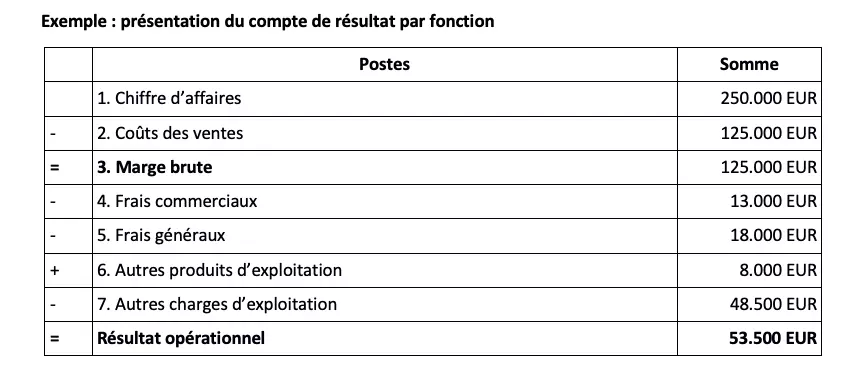 Image: Exemple de pr&eacute;sentation du compte de r&eacute;sultat par fonction