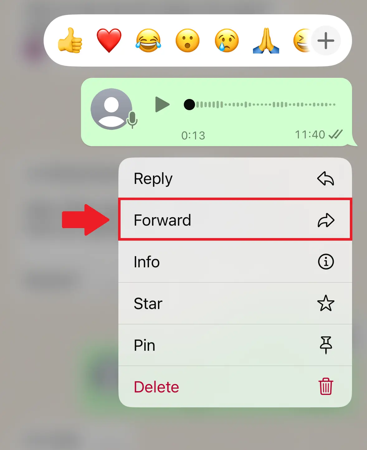Capture d’écran iOS des options de transfert possibles dans WhatsApp Image: Capture d’écran iOS des options de transfert possibles dans WhatsApp