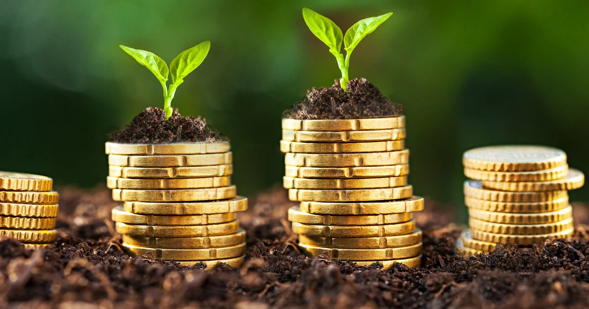 Image: Quelle somme investir pour une boutique en ligne