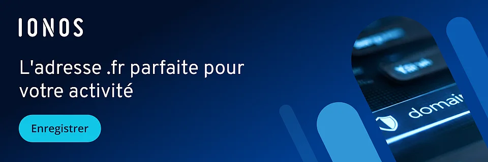 Image: ION_FR_DG-Domain_960x320.png