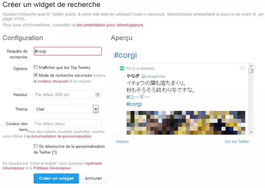 Image: Options de configuration pour la création d’un widget