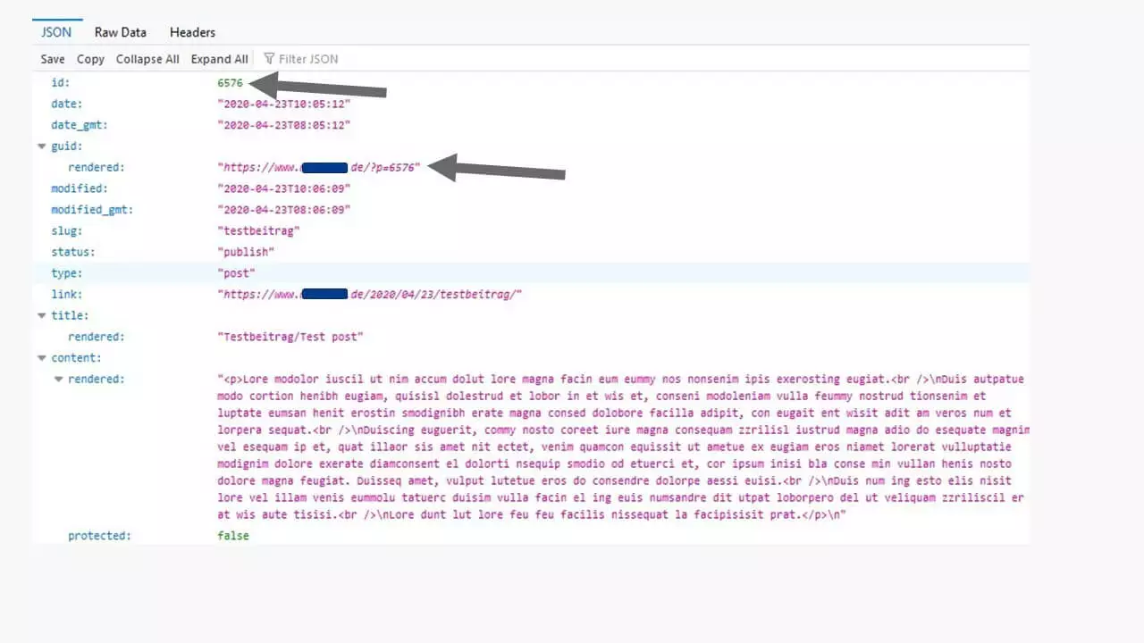 Image: API REST de WordPress : lire une publication spécifique grâce à son ID 