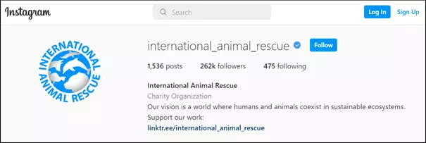 Image: Exemple de bio Instagram: International Animal Rescue