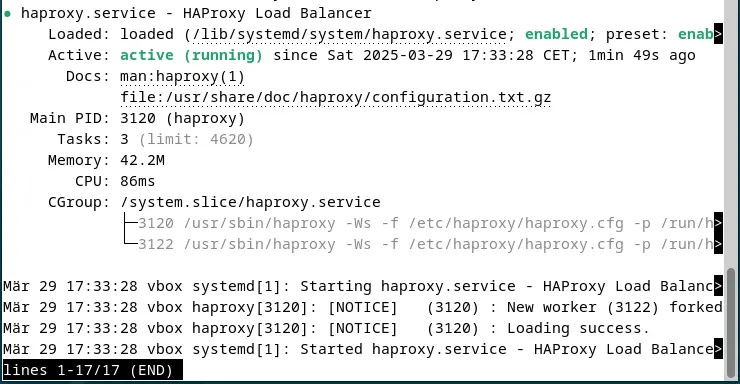 Image: Capture d’écran de l’état de HAProxy dans le terminal
