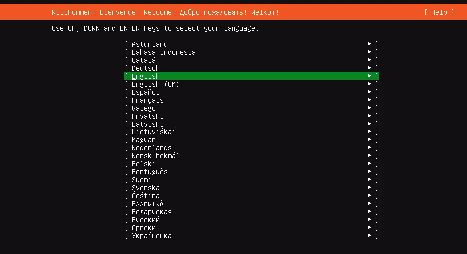 Image: Installation du serveur Ubuntu : choix de la langue