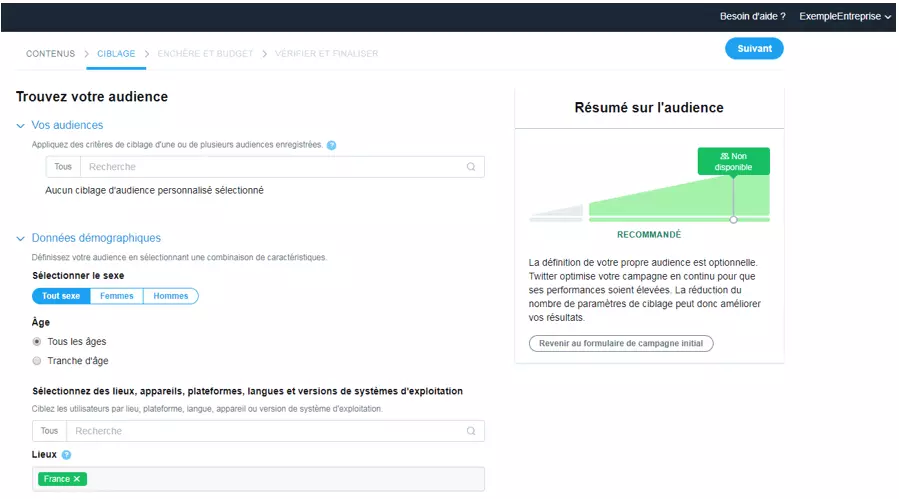 Image: « Trouvez votre audience » sur Twitter ads permet de bien définir la cible de sa publicité.