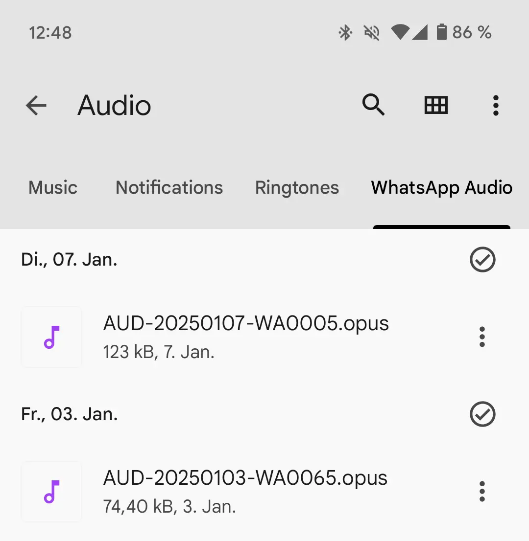 Capture d’écran Android du sous-dossier « WhatsApp Audio » Image: Capture d’écran Android du sous-dossier « WhatsApp Audio »