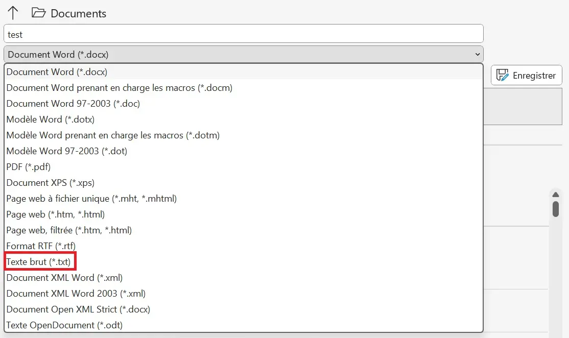 Fenêtre d’enregistrement d’un document Word au format .txt Image: Fenêtre d’enregistrement d’un document Word au format .txt
