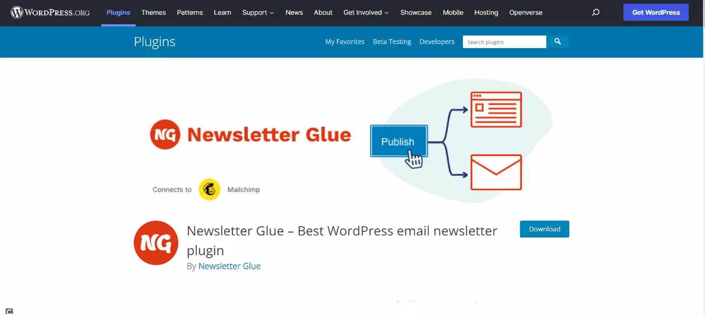 Image: Page d’accueil du plugin Newsletter Glue