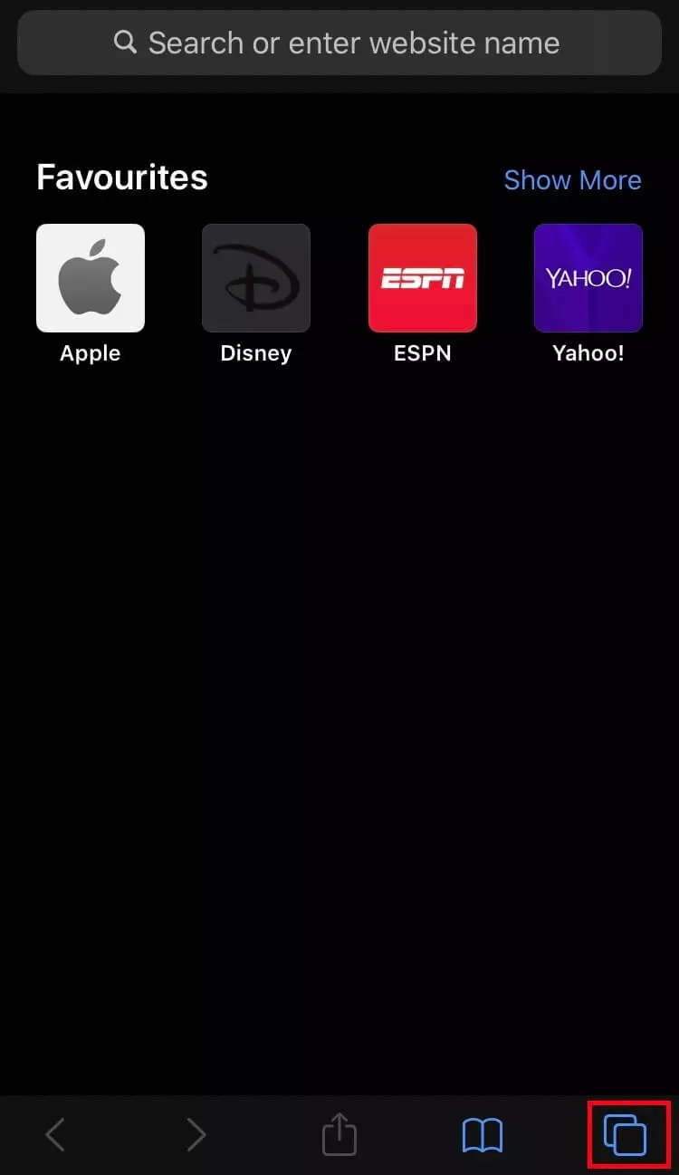 Image: iPhone : interface utilisateur générale