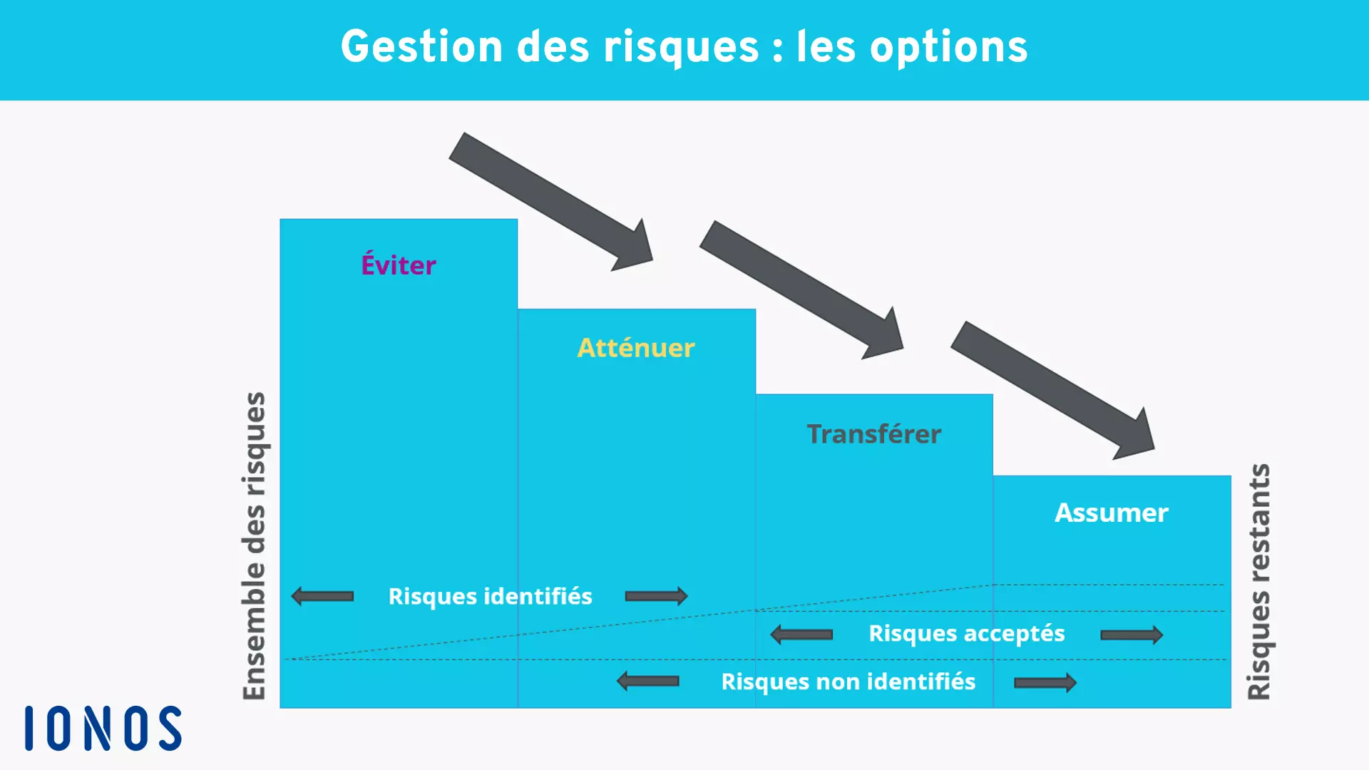 Image: gestion-des-risques-options.png