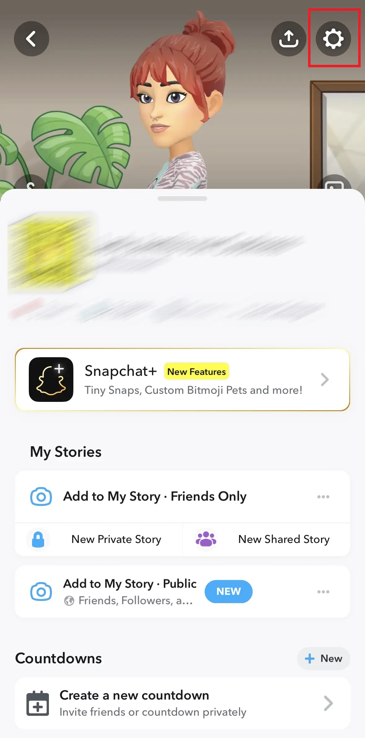 Image: Profil Snapchat dans l’application iPhone