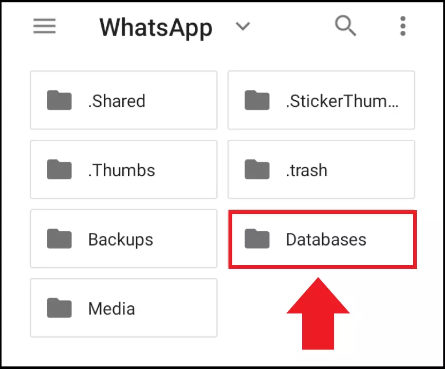 Image: Fichiers de sauvegarde locaux sous WhatsApp\Databases
