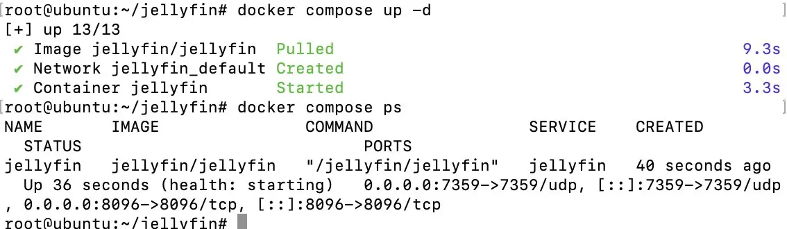 Image: Affichage après Docker compose