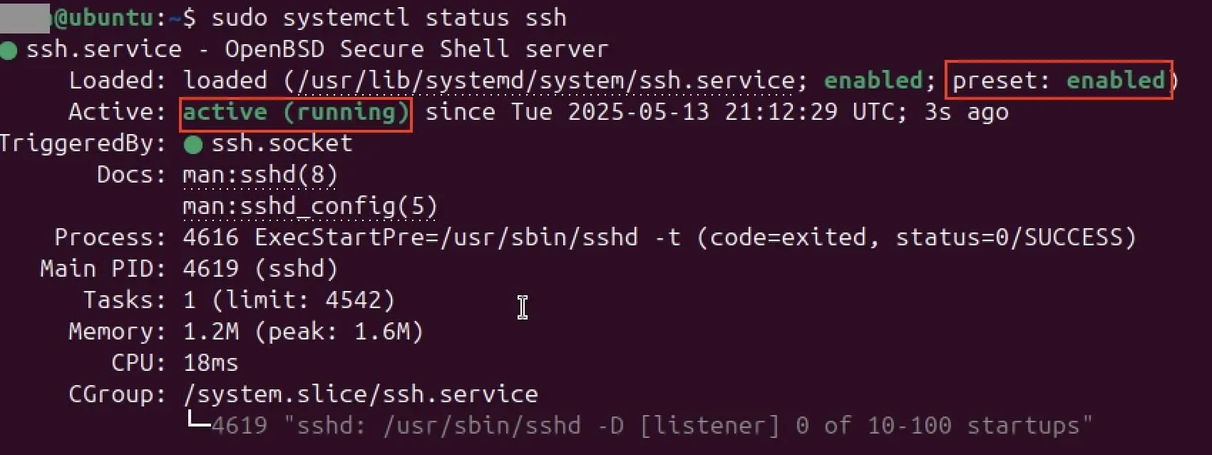 Image: Capture d’écran du statut de SSH dans le terminal