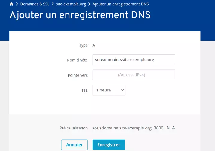 Image: Ajouter un enregistrement DNS dans le IONOS Cloud Panel