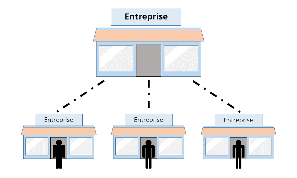 Entreprise franchise définition