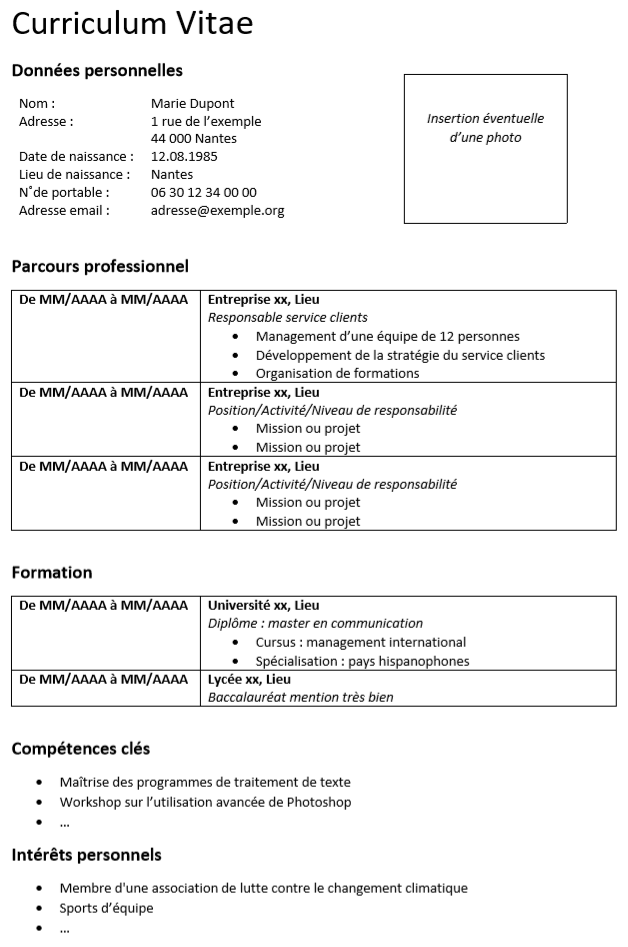 Curriculum Vitae | Modèle Word, structure et contenu - IONOS