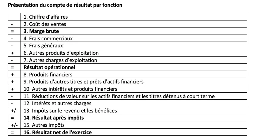 Image: modele-de-presentation-de-compte-de-resultat-par-fonction.png