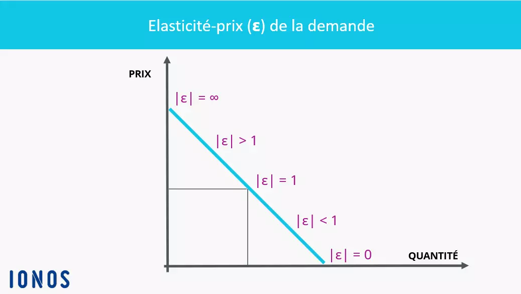 Graphique représentant l’élasticité-prix de la demande Graphique représentant l’élasticité-prix de la demande