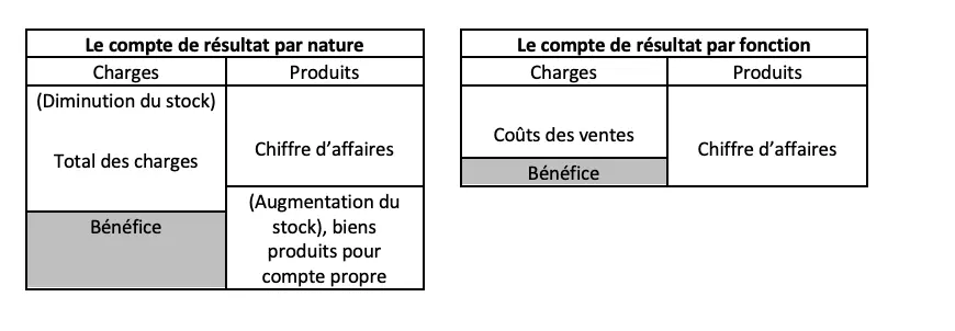 Image: compte-de-resultat-par-nature-et-par-fonction.png